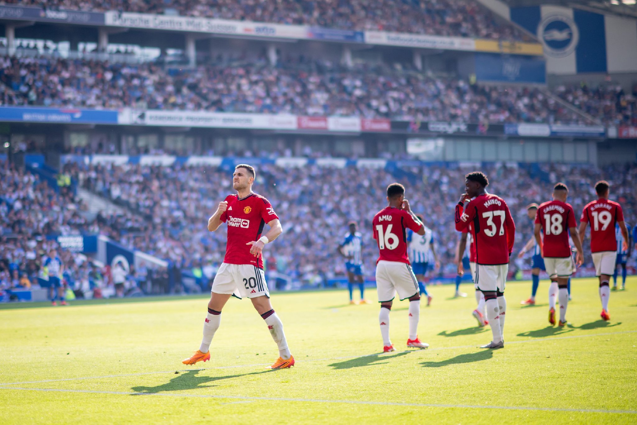 我已经严格 我已经严格